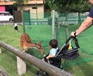 お子様連れのオススメの遊び場(関西地方)教えます オススメの遊び場を5人兄弟2児の父がレビューします！ イメージ4