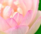 片思いの逆転劇。彼を追わせる流れを作ります 縮まらない距離の正体は？滞りを整え、彼が追いたくなる女性へ イメージ10