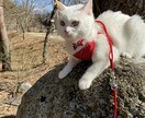 雑談、愚痴等、話し相手になります 一人で抱え込まないでください！ イメージ1