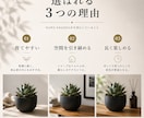 AIを活用してEC商品画像を制作しますます 楽天・Amazon・BASE等対応 イメージ3