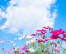 寄り添いママ占い師が100%あなたの味方になります 思いを吐き出してみませんか？1歩前に踏み出す為の全力サポート イメージ5