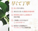 実績3,000件以上デザインチーム★HP制作します 創業17年 法人だから安心★業界トップクラスの成功ノウハウ イメージ10