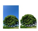 商品など丁寧な画像切り抜き・白抜きいたします ご満足いただけるまで無料で修正いたします。 イメージ4