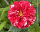 心のモヤモヤ（恋愛／親／子育て／義親等）を聞きます モヤモヤ溜め込んでませんか？爆発する前に吐き出しましょう！ イメージ10