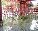 いろんな写真を撮ります 人物や店舗、商品などの写真を撮影させてもらいます イメージ5