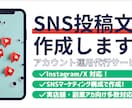 SNS投稿文を作成します 「伝わる投稿」を最短24時間で納品。 イメージ1