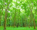 女性限定◎あなただけの彼氏になってお話します 疲れたな〜癒されたいな〜ってときに非日常の楽しさを是非◎ イメージ10