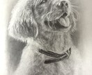 動物・写真から感動の一枚を制作します 「大切な家族の“今”を一枚の絵に」 イメージ3