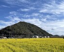 カップルや家族向けの旅行プランを提案します 大切な人と素敵な思い出を作りましょう。 イメージ2