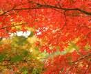 うつ病で苦しんでる、人間関係お悩みに寄り添います 愚痴、相談することで軽くなって欲しい。そのお手伝いしたいです イメージ1
