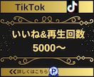 TikTokのいいね＆再生回数を5000増やします 【実績3150件以上】TikTokのいいね＆再生回数増加 イメージ6