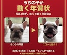 うちの子の「動く年賀状」をLINE用に作ります 写真1枚で、うちの子がニコッと笑う2027年の年賀状に イメージ1