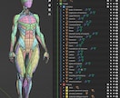 CGの人体模型作ります ---ケロロケ CG anatomy--- イメージ2