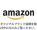 Amazonブランド登録できるまでサポートします 登録～ブランドストア開店まで徹底サポートします イメージ1