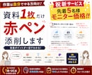 あなたの大切な資料1枚を赤ペン添削します 作業は自分で、改善点はプロ目線で イメージ1
