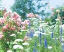 片思い鑑定 彼にキュンとされてる？こっそり教えます お相手様のあなたの好きな所暴露します イメージ9