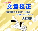 有資格者が高スピード・低価格で校正します 500字ごとに選べる料金プラン！スピード納品！ イメージ1