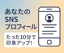 SNSプロフィールを添削します SNSプロフィール文を整えます イメージ1