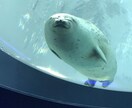 言葉にできない心の悩みをメールでお聴きします 文字に起こして一緒に心の整理をしましょう イメージ2
