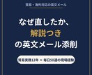 貿易・海外対応の英文メールを添削し解説します 修正した英文に、なぜ直したか？まで解説します イメージ1