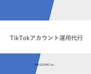 現役TikTokerがTikTok運用いたします 現役TikTokerによるTikTok戦略運用 イメージ1