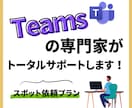 Teamsの専門家がフルサポートします 豊富な知識と高いスキルで徹底的にサポートします！ イメージ1