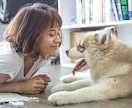 あなた専用の恋愛プログラムを提案します 彼女がいたことない男性でも理想の彼女はつくれます イメージ3