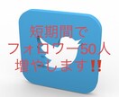 あなたのTwitterフォロワー50人増やします 〜質の高いフォロワーを短期間で増やすものです〜 イメージ1