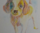 あなたの可愛い愛犬の似顔絵を色鉛筆でお描きします 写真を元にお描きしますが、写真とは一味違う表情が出ます イメージ5