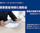 小規模事業者持続化補助金の事業計画書を作成致します 申請初心者も安心！経営歴２０年の経験よりアドバイスいたします イメージ1
