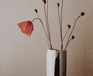 商用フリーの写真提供します 誰もが自然と引き込まれる写真です イメージ10