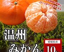 バナー２枚を1000円で作成します 駆け出しWebデザイナーの実績づくりにご協力いただける方！ イメージ5