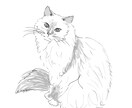 既存の写真を元にしたデジタルイラストを描きます ちょっとした思い出残し、ペアアイコンやイラストなどに イメージ4