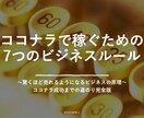 ココナラ電話相談⭐プラチナ目標1ヶ月コンサルします 攻略マニュアル一式＆ビデオチャット1回提供‼ イメージ2