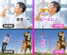 最新の生成AIで画像を魅力的に加工・変身させます 最高峰の編集技術！画像の加工や合成はプロ×AIにお任せ！ イメージ10