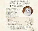 写真で作成！愛犬愛猫をリアルに水墨画アートにします 毛並みや表情の癖まで再現！大切な家族を一生残る特別な一枚に イメージ7