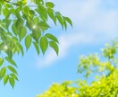 直感タロットであなたの潜在意識を書き換えます 運命は変えられます！望んだ未来を引き寄せるお手伝いをします！ イメージ8