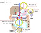 看護師国家試験の解き方理解させます 現役男性看護師が自ら高得点を叩き出したメソッドを教えます。 イメージ2