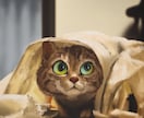 ペットのイラストをグッズにします ワンチャンネコちゃん達をいつも身近に！ イメージ1