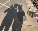 愛知でのデートプランご提案致します 愛知県のデートスポットって？大切な人と楽しみたい方へ！ イメージ1
