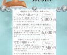 大人かわいい美容サロン系メニューリスト作ります オープニングキャンペーンとしてお安く出店してます♡ イメージ4