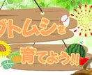 TwitterなどのSNSヘッダーを作成します パッと興味を引く、長く使えるヘッダーをします。 イメージ5