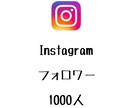 Instagramフォロワー+1000人増やします ⭐️格安⭐️フォロワーが増えるよう拡散します！ イメージ1