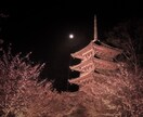 京都の魅力は「◯◯◯◯◯！」旅行プランニングします 知らなきゃ勿体無い京都の魅力をご紹介【3名限定】 イメージ4