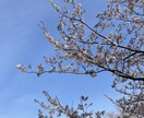 ファンレターやお礼状に！あなたの想いを代筆します 書道五段の取得経験がある学生が丁寧に代筆します。 イメージ1