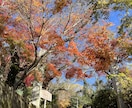 心の相談事にチャットでお答えします チャットにて1週間お話ししませんか？ イメージ1
