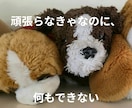 生きづらさを感じるあなたの気持ちをそっとゆるめます 学校や仕事に行けない動けない。そんなあなたの今を肯定する時間 イメージ3