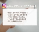副業初心者向け/収入を作るインスタ運用教えます 何のスキルもない主婦でもインスタで月1万円稼ぐ方法教えます イメージ2