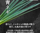 メニュー表・チラシをCanvaProで制作します 急ぎ対応可能。お客様のイメージに合わせてお作りします。 イメージ4