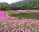 ムダに悩まない、こうすればもっと楽に生きられます 自分で自分を苦しめているかも思い込み、先入観、勘違いでは？ イメージ1